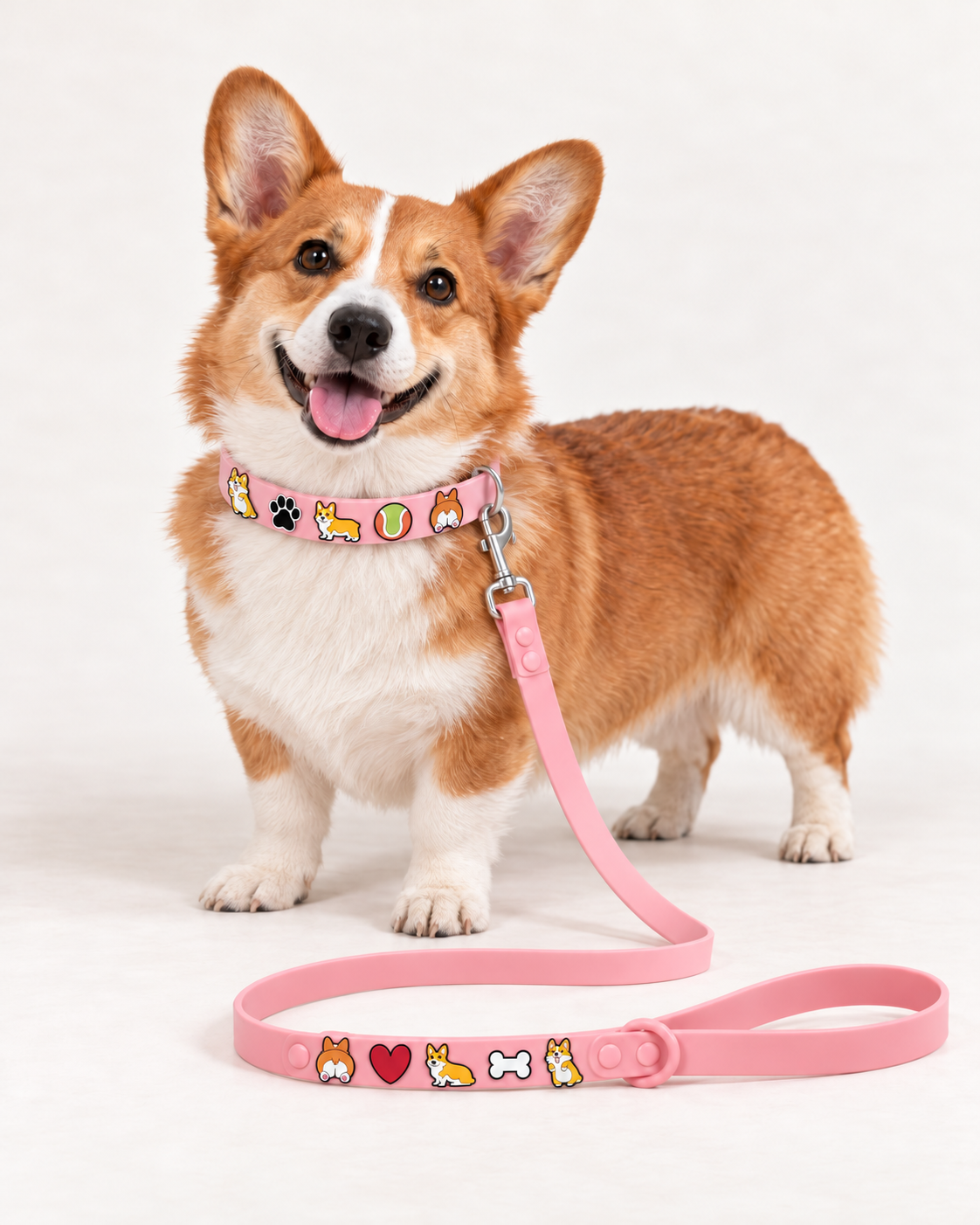 Corgi Collar & Leash Set