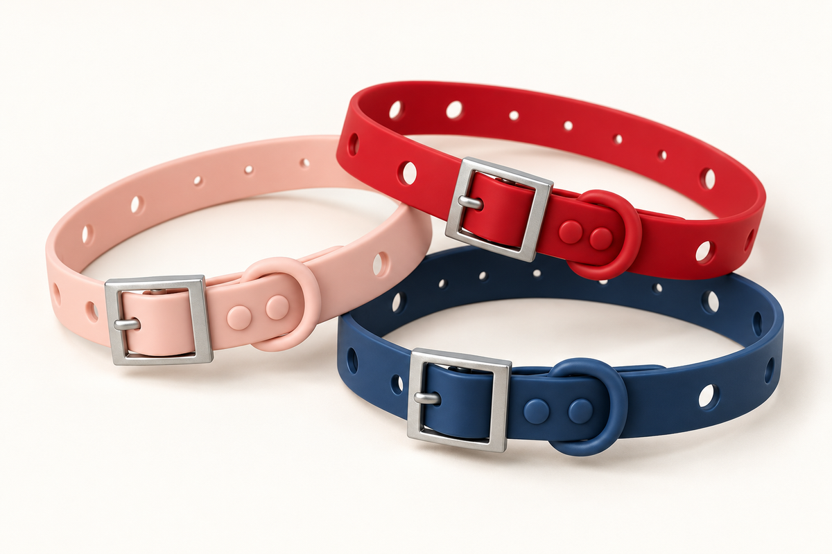 Dandie Collar