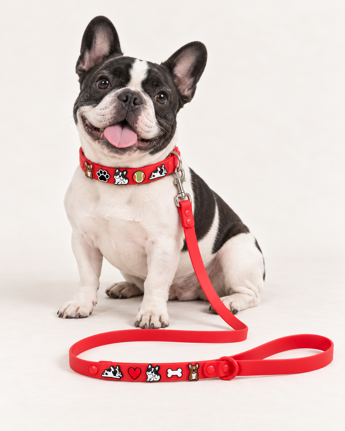 Frenchie Collar & Leash Set