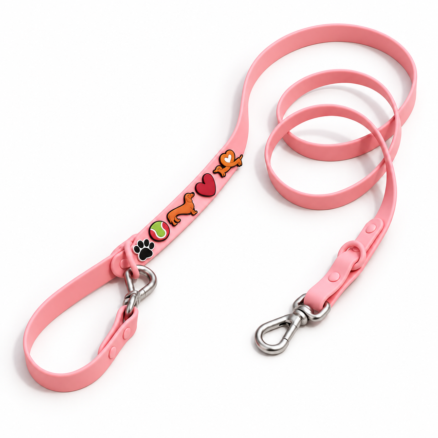 Dachshund Charm Leash